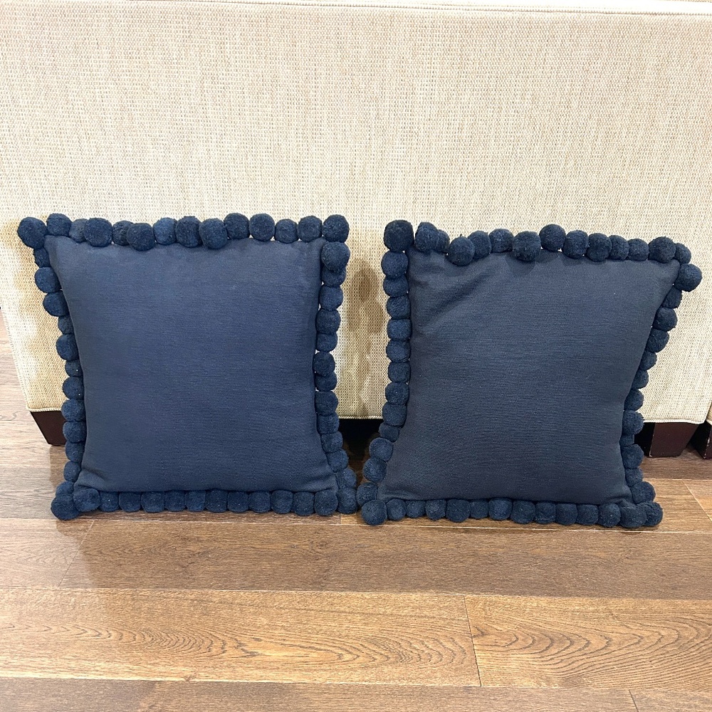 20x20 Square Black Pillow Covers (2)